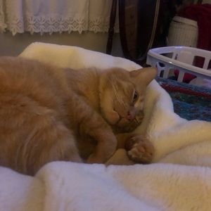 Meet your Posher, Jim